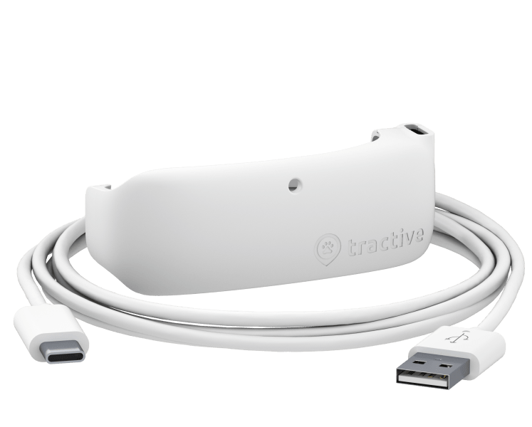 Clip Charger & USB-C Cable